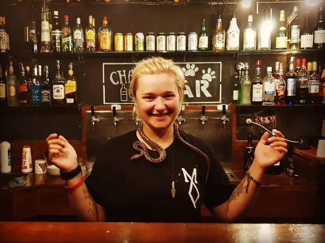 Gladstone Backpackers Hostel